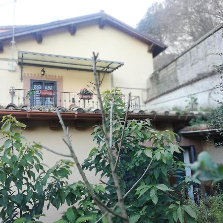 Il Pettirosso Villa Cesano Eksteriør bilde